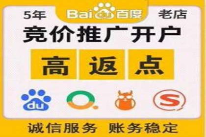 行业领先企业的网络推广与竞价经验
